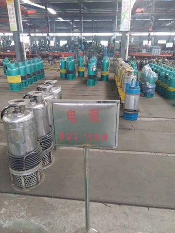 BQS120-80-55防爆潜水排污泵 矿用机电领域的可靠之选